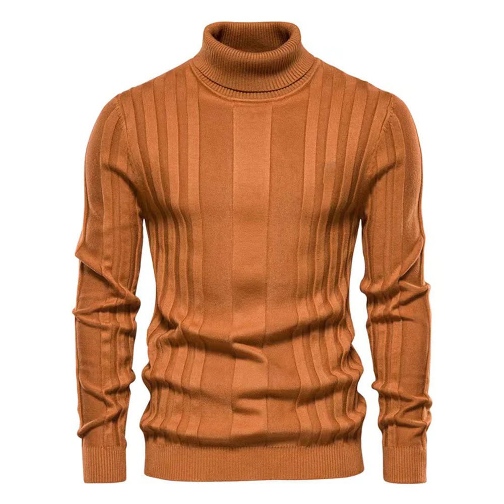 Stilvoller Herren Rollkragenpullover