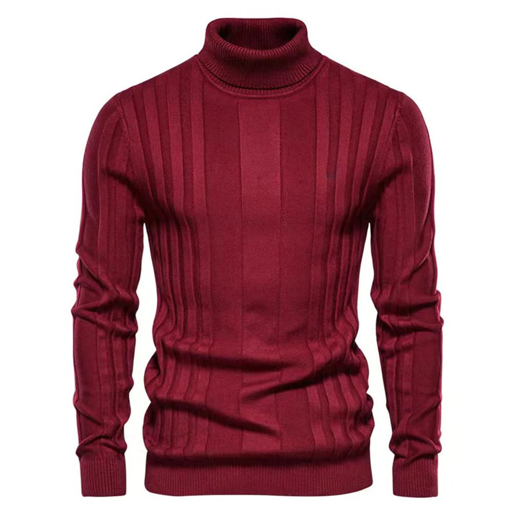 Stilvoller Herren Rollkragenpullover